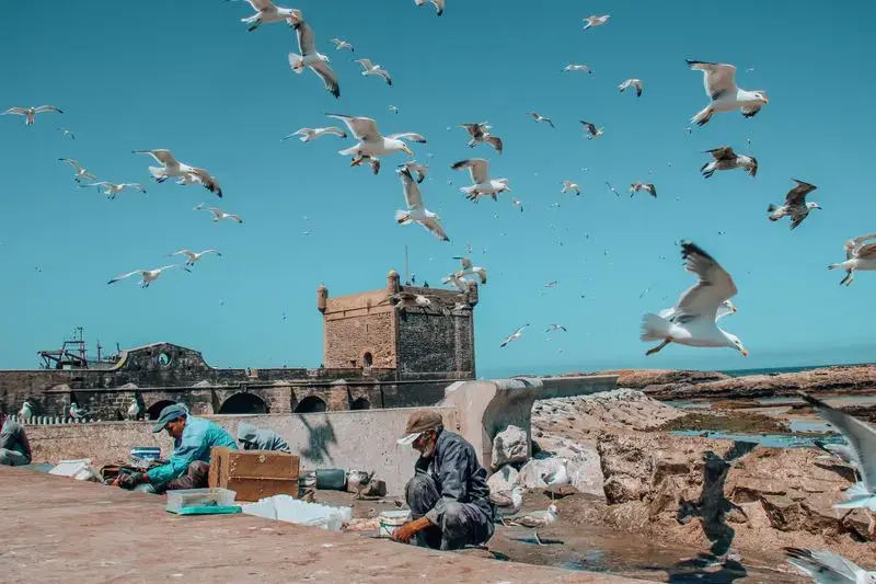 Día 11 · Excursión a Essaouira · Ruta de 12 días desde Tánger a Marrakech